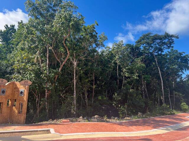 #5 - Área para Venta en Cancún - QR